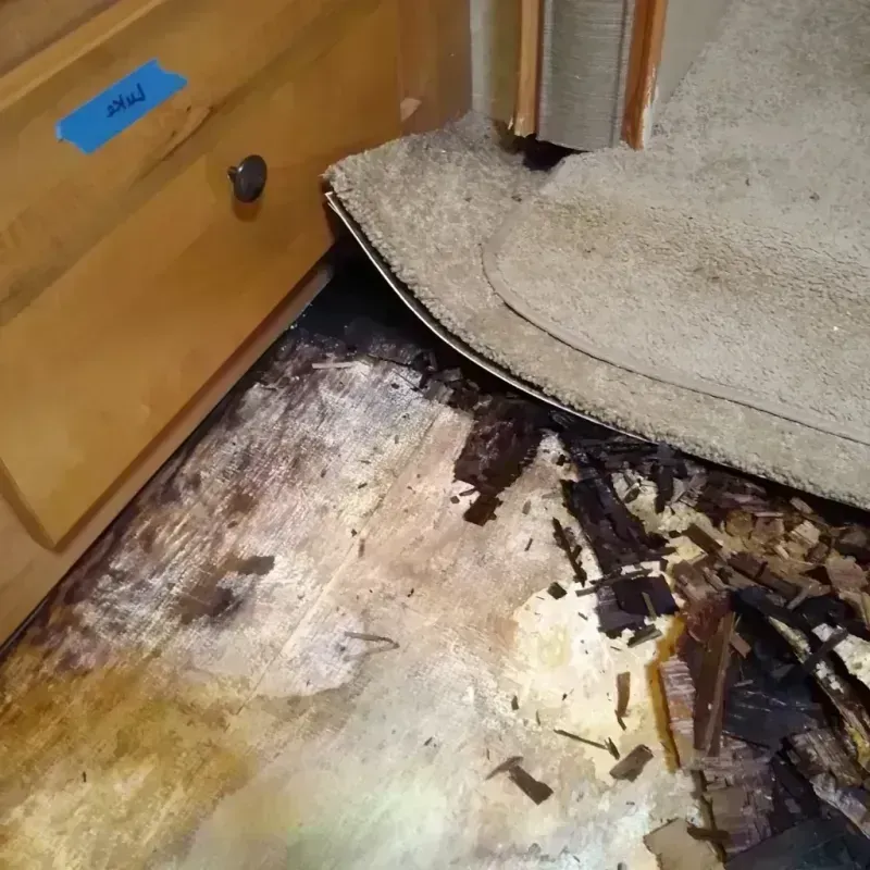 Wood Floor Water Damage in Alamo, GA